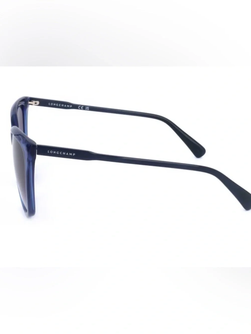 Longchamp Blue Oversized Women's Sunglasses with Case L0718S-400 #3